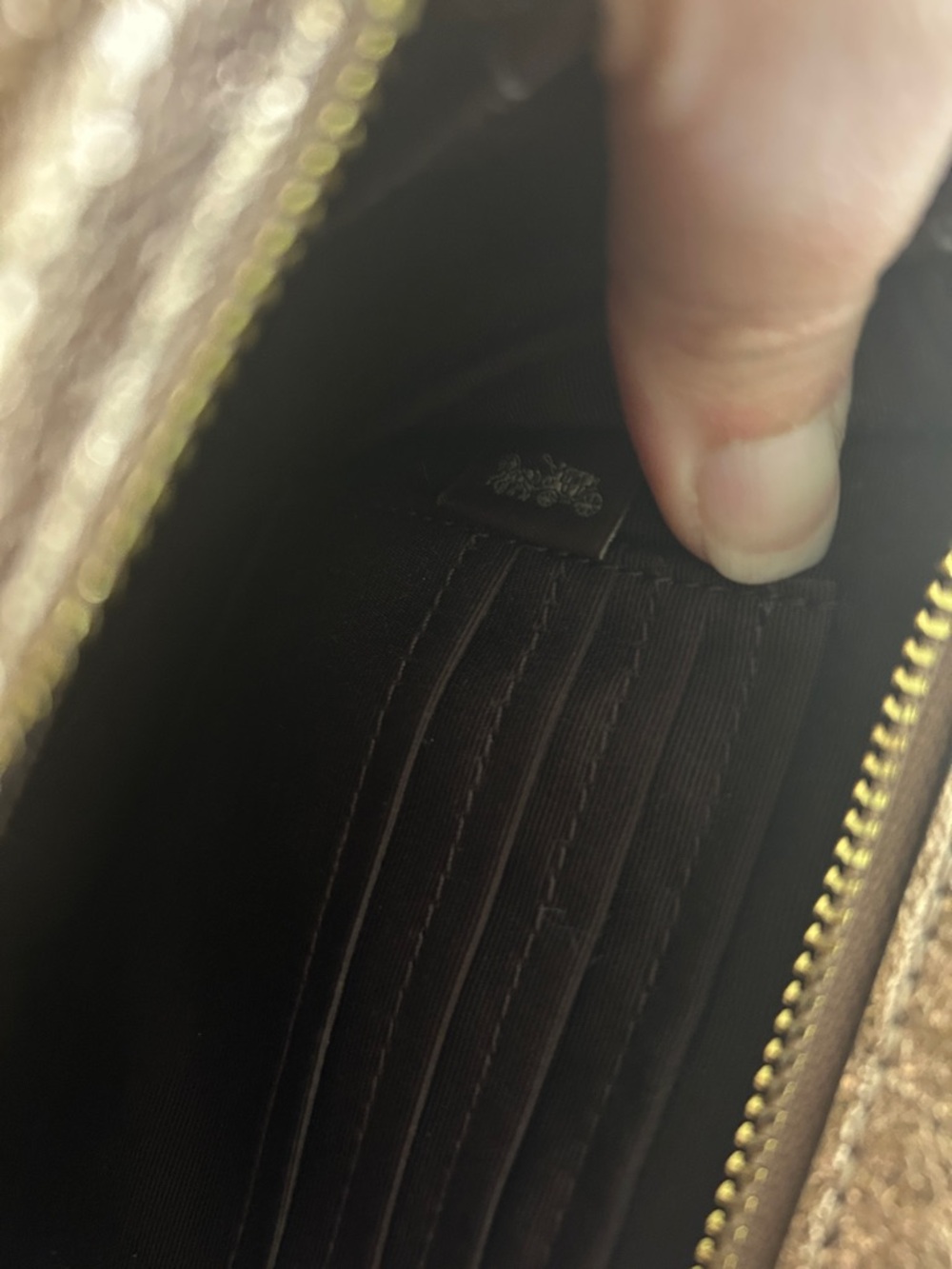 Coach Flap Clutch in Rose Gold Crinkle
Metallic Glitter wristlet/clutch - Picture 9 of 13